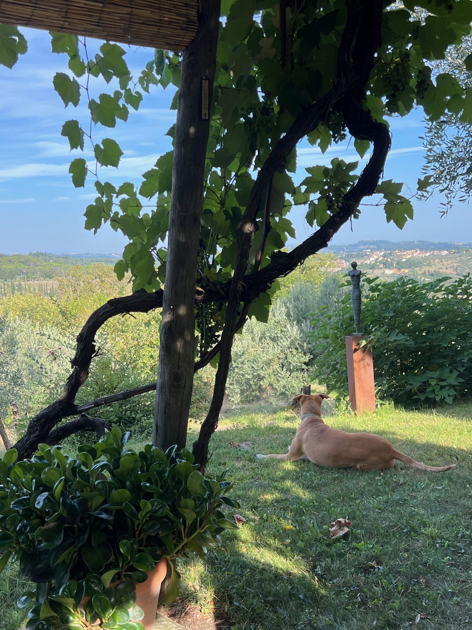 Toscana päikese küüsis.