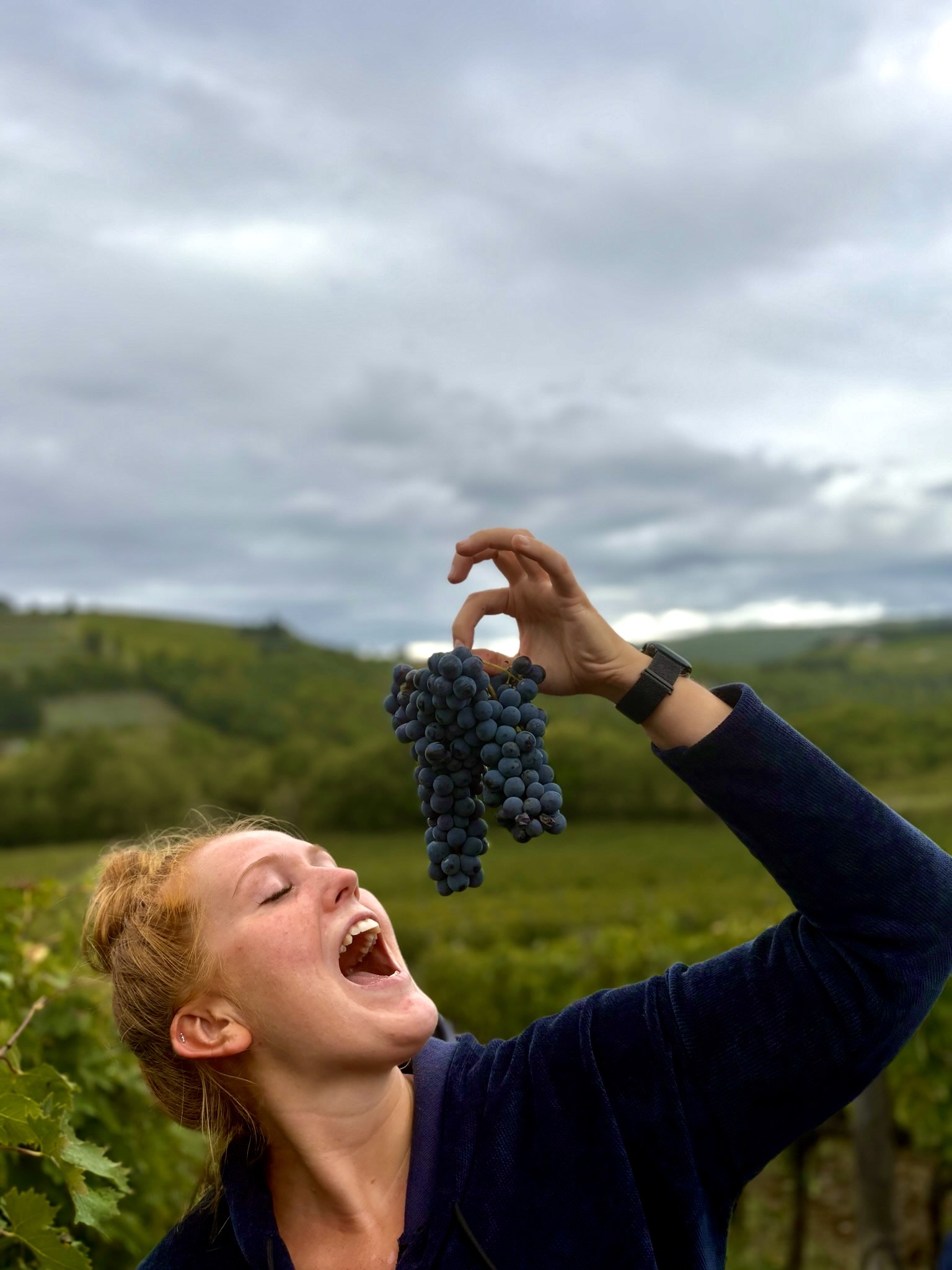 Magusad viinamarjad 🍇