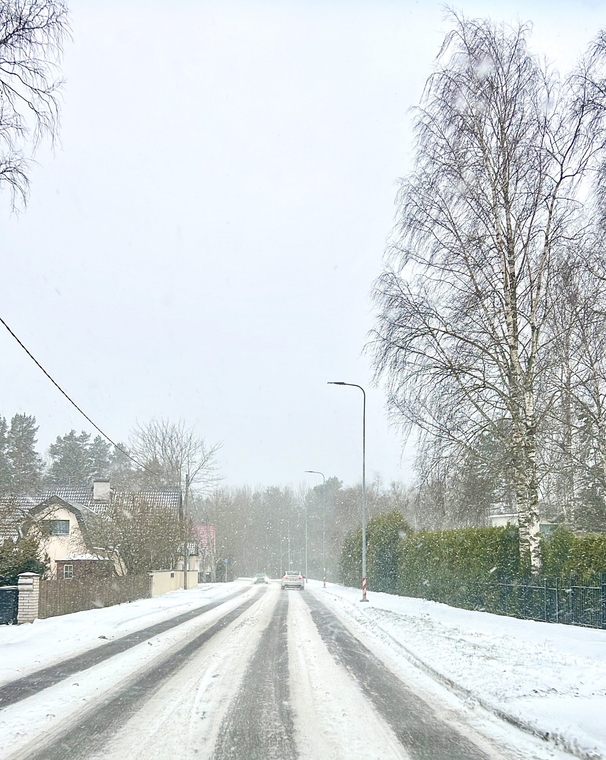 Nägin viimasel päeval Eestis olles lõpuks lund ka!❄️